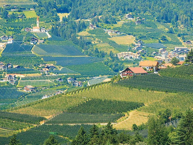 Pension Zum Burggraefler Schenna Extérieur photo